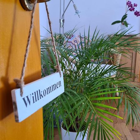 Fewo Mein Panama Bernkastel-Kues Ngoại thất bức ảnh